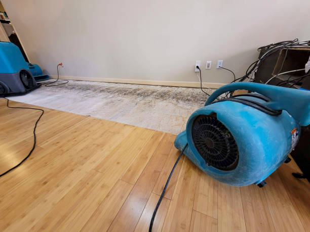Professional Burst Pipe Water Damage technician working in Ashland, CA